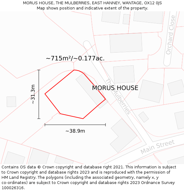MORUS HOUSE, THE MULBERRIES, EAST HANNEY, WANTAGE, OX12 0JS: Plot and title map