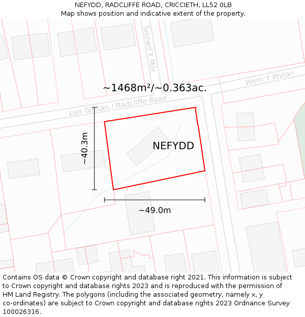 NEFYDD, RADCLIFFE ROAD, CRICCIETH, LL52 0LB: Plot and title map