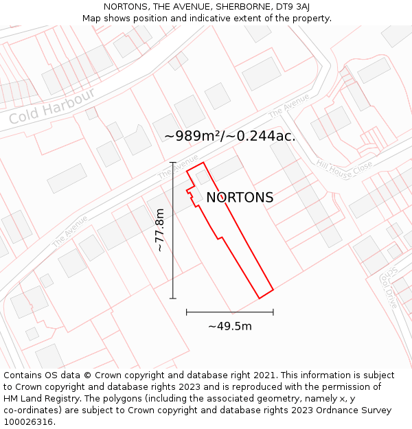 NORTONS, THE AVENUE, SHERBORNE, DT9 3AJ: Plot and title map