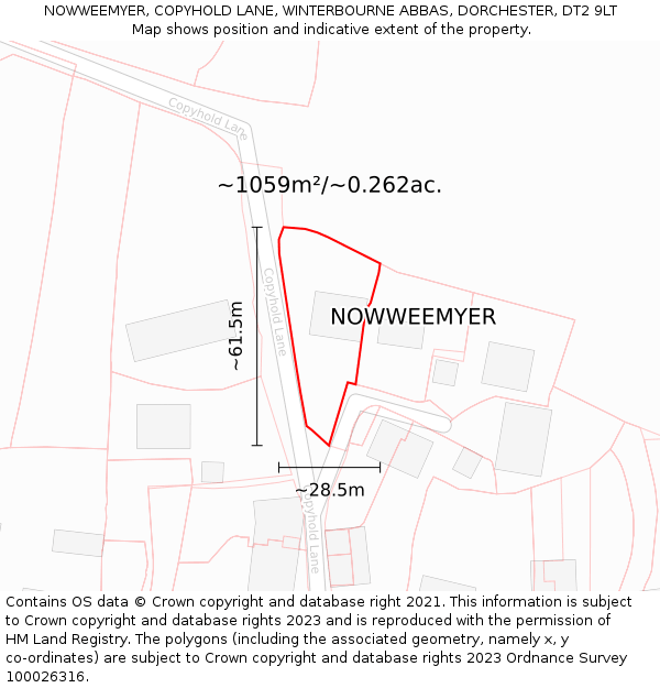 NOWWEEMYER, COPYHOLD LANE, WINTERBOURNE ABBAS, DORCHESTER, DT2 9LT: Plot and title map