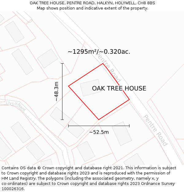 OAK TREE HOUSE, PENTRE ROAD, HALKYN, HOLYWELL, CH8 8BS: Plot and title map