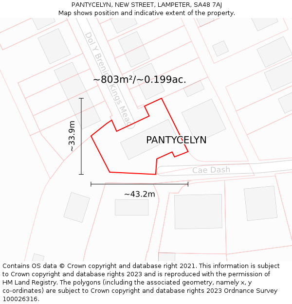 PANTYCELYN, NEW STREET, LAMPETER, SA48 7AJ: Plot and title map