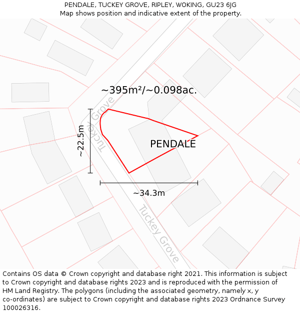 PENDALE, TUCKEY GROVE, RIPLEY, WOKING, GU23 6JG: Plot and title map