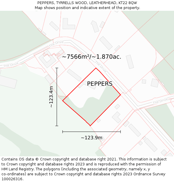 PEPPERS, TYRRELLS WOOD, LEATHERHEAD, KT22 8QW: Plot and title map