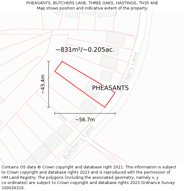 PHEASANTS, BUTCHERS LANE, THREE OAKS, HASTINGS, TN35 4NE: Plot and title map