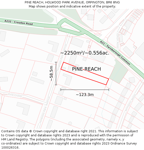 PINE REACH, HOLWOOD PARK AVENUE, ORPINGTON, BR6 8NG: Plot and title map
