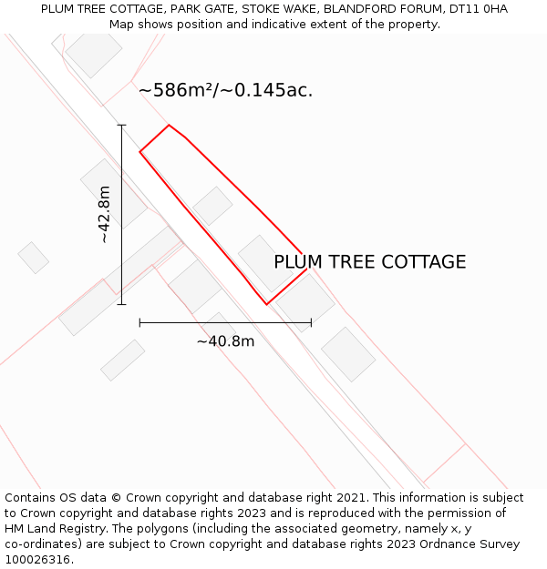PLUM TREE COTTAGE, PARK GATE, STOKE WAKE, BLANDFORD FORUM, DT11 0HA: Plot and title map