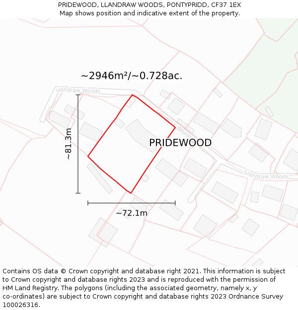 PRIDEWOOD, LLANDRAW WOODS, PONTYPRIDD, CF37 1EX: Plot and title map