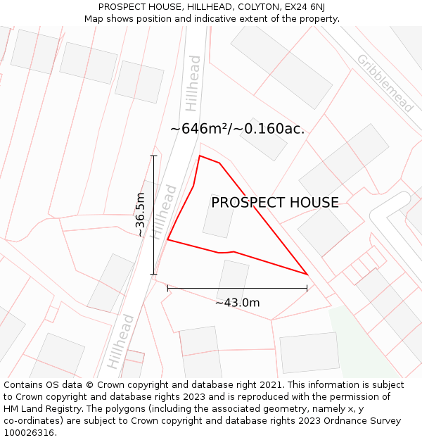 PROSPECT HOUSE, HILLHEAD, COLYTON, EX24 6NJ: Plot and title map