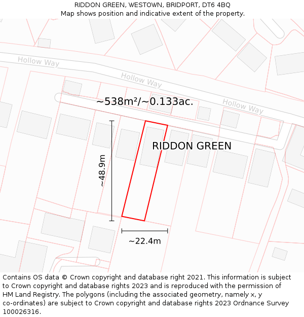 RIDDON GREEN, WESTOWN, BRIDPORT, DT6 4BQ: Plot and title map