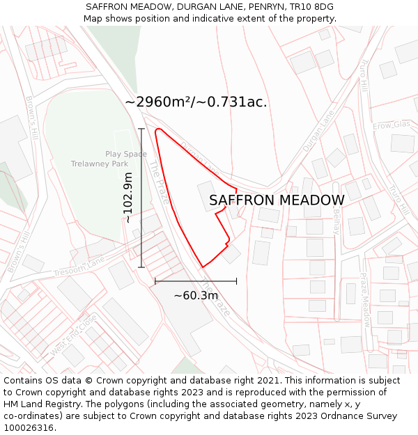 SAFFRON MEADOW, DURGAN LANE, PENRYN, TR10 8DG: Plot and title map