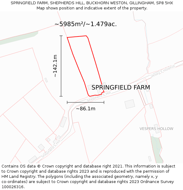 SPRINGFIELD FARM, SHEPHERDS HILL, BUCKHORN WESTON, GILLINGHAM, SP8 5HX: Plot and title map