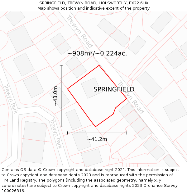SPRINGFIELD, TREWYN ROAD, HOLSWORTHY, EX22 6HX: Plot and title map
