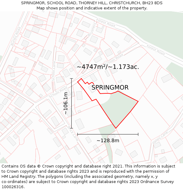 SPRINGMOR, SCHOOL ROAD, THORNEY HILL, CHRISTCHURCH, BH23 8DS: Plot and title map