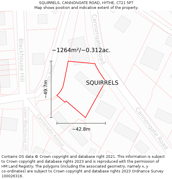 SQUIRRELS, CANNONGATE ROAD, HYTHE, CT21 5PT: Plot and title map