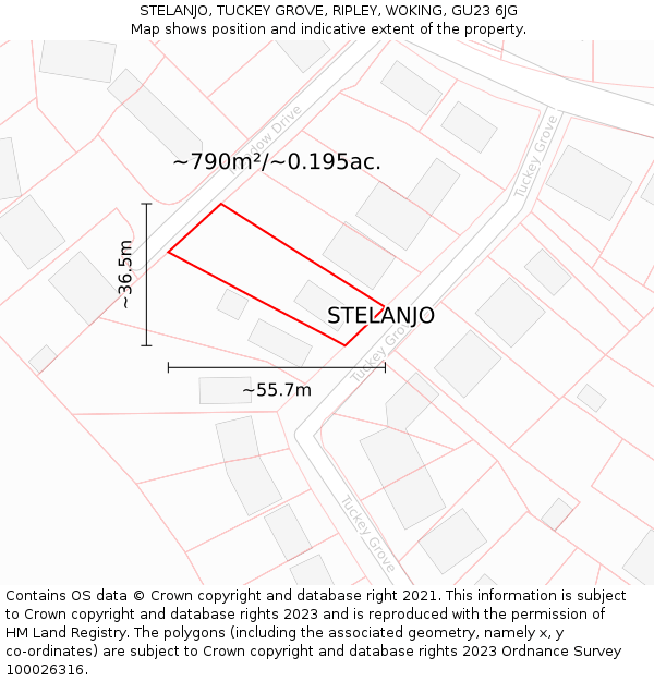 STELANJO, TUCKEY GROVE, RIPLEY, WOKING, GU23 6JG: Plot and title map