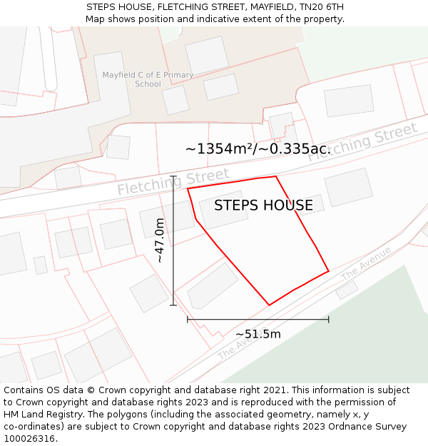 STEPS HOUSE, FLETCHING STREET, MAYFIELD, TN20 6TH: Plot and title map
