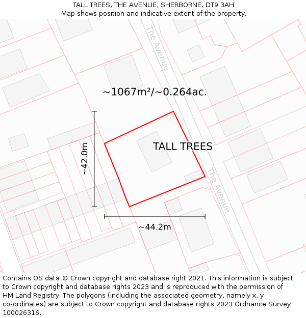 TALL TREES, THE AVENUE, SHERBORNE, DT9 3AH: Plot and title map