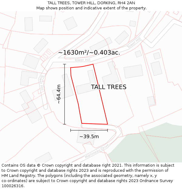 TALL TREES, TOWER HILL, DORKING, RH4 2AN: Plot and title map