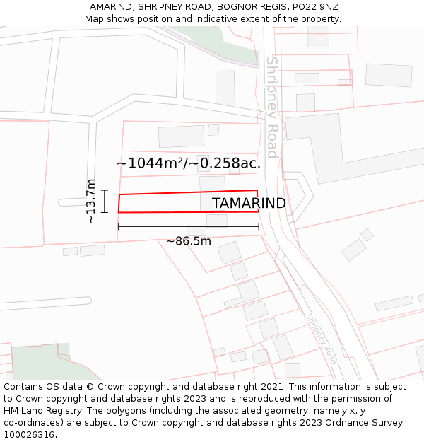 TAMARIND, SHRIPNEY ROAD, BOGNOR REGIS, PO22 9NZ: Plot and title map