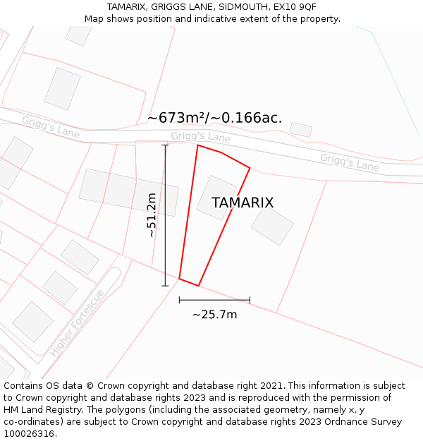 TAMARIX, GRIGGS LANE, SIDMOUTH, EX10 9QF: Plot and title map