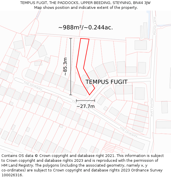 TEMPUS FUGIT, THE PADDOCKS, UPPER BEEDING, STEYNING, BN44 3JW: Plot and title map
