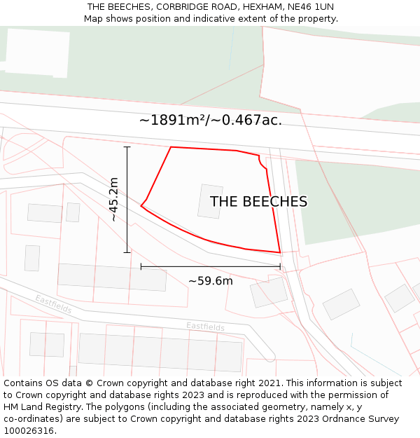THE BEECHES, CORBRIDGE ROAD, HEXHAM, NE46 1UN: Plot and title map