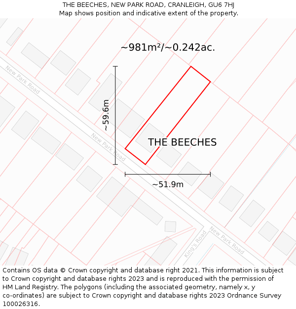 THE BEECHES, NEW PARK ROAD, CRANLEIGH, GU6 7HJ: Plot and title map