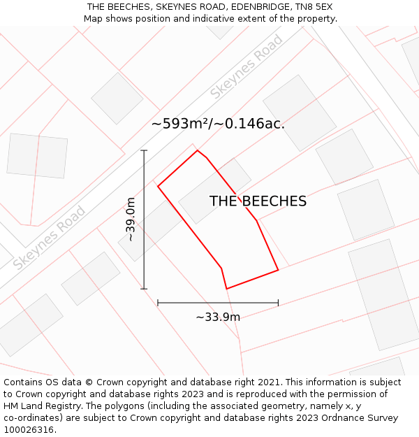 THE BEECHES, SKEYNES ROAD, EDENBRIDGE, TN8 5EX: Plot and title map