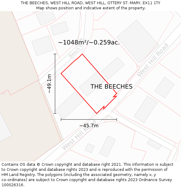 THE BEECHES, WEST HILL ROAD, WEST HILL, OTTERY ST. MARY, EX11 1TY: Plot and title map