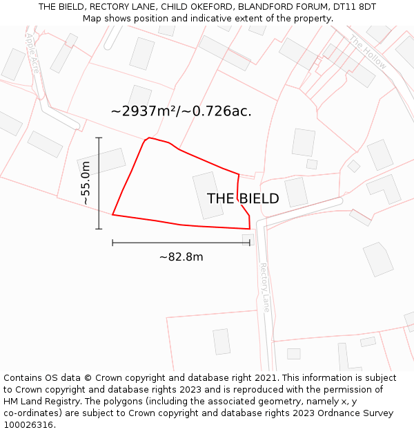 THE BIELD, RECTORY LANE, CHILD OKEFORD, BLANDFORD FORUM, DT11 8DT: Plot and title map