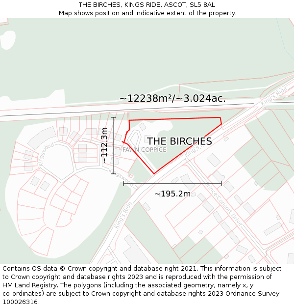 THE BIRCHES, KINGS RIDE, ASCOT, SL5 8AL: Plot and title map