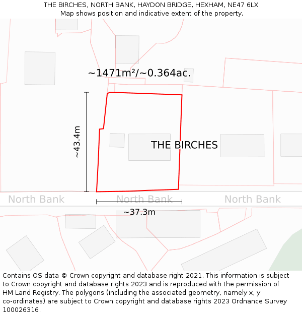 THE BIRCHES, NORTH BANK, HAYDON BRIDGE, HEXHAM, NE47 6LX: Plot and title map