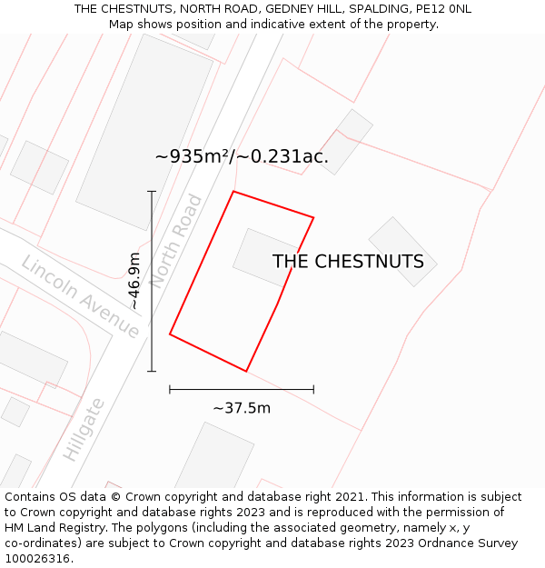 THE CHESTNUTS, NORTH ROAD, GEDNEY HILL, SPALDING, PE12 0NL: Plot and title map