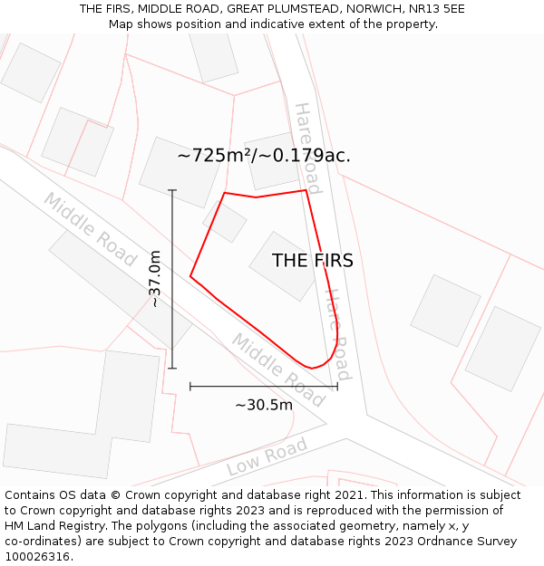 THE FIRS, MIDDLE ROAD, GREAT PLUMSTEAD, NORWICH, NR13 5EE: Plot and title map