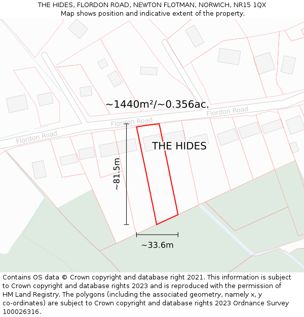 THE HIDES, FLORDON ROAD, NEWTON FLOTMAN, NORWICH, NR15 1QX: Plot and title map