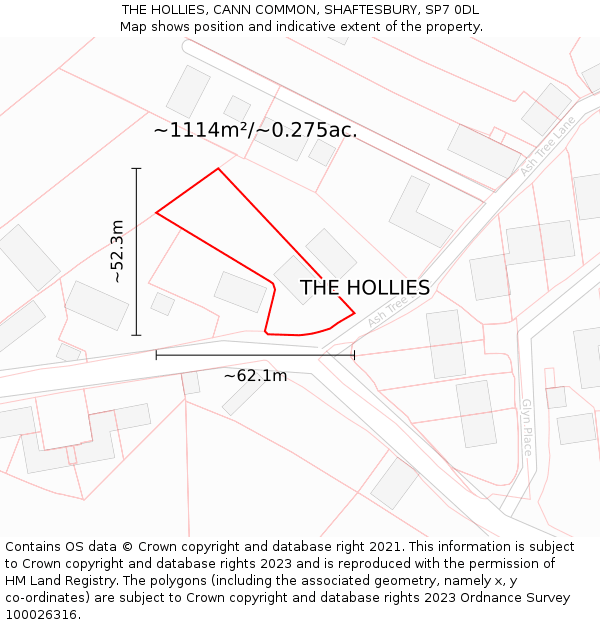 THE HOLLIES, CANN COMMON, SHAFTESBURY, SP7 0DL: Plot and title map