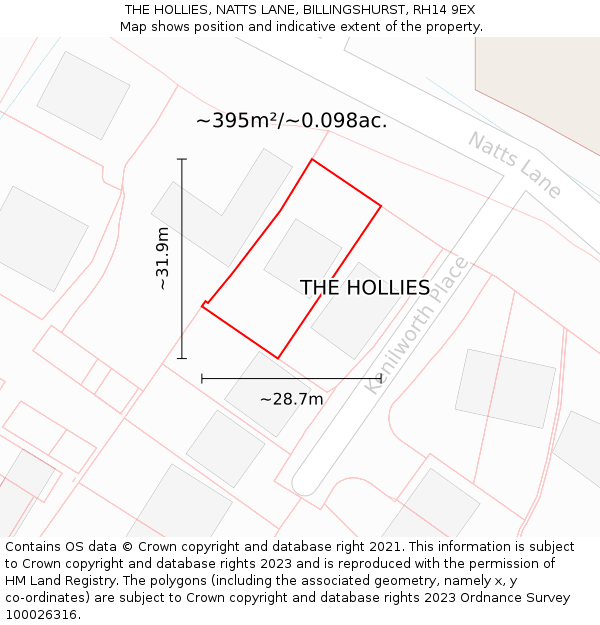 THE HOLLIES, NATTS LANE, BILLINGSHURST, RH14 9EX: Plot and title map