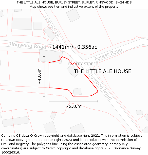THE LITTLE ALE HOUSE, BURLEY STREET, BURLEY, RINGWOOD, BH24 4DB: Plot and title map