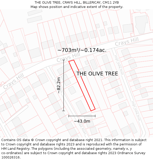 THE OLIVE TREE, CRAYS HILL, BILLERICAY, CM11 2YB: Plot and title map