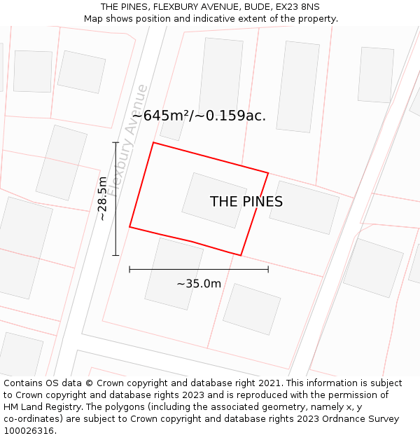 THE PINES, FLEXBURY AVENUE, BUDE, EX23 8NS: Plot and title map