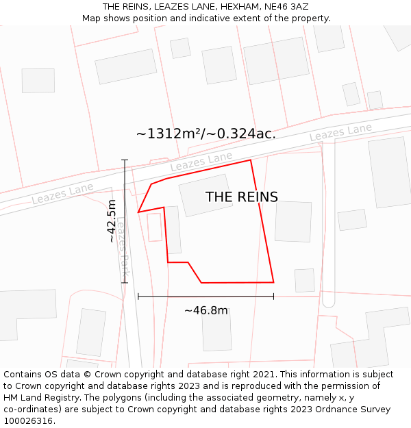 THE REINS, LEAZES LANE, HEXHAM, NE46 3AZ: Plot and title map