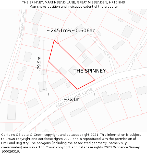 THE SPINNEY, MARTINSEND LANE, GREAT MISSENDEN, HP16 9HS: Plot and title map