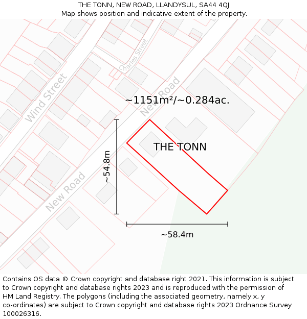 THE TONN, NEW ROAD, LLANDYSUL, SA44 4QJ: Plot and title map