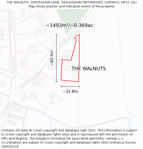 THE WALNUTS, SHOTESHAM LANE, SAXLINGHAM NETHERGATE, NORWICH, NR15 1SU: Plot and title map