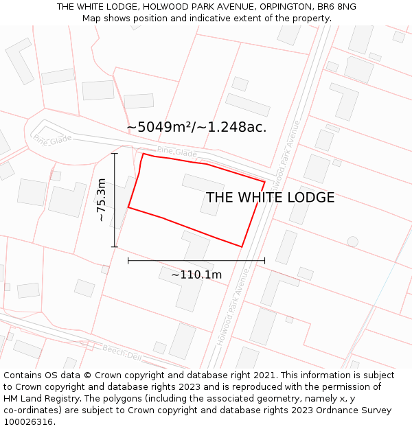 THE WHITE LODGE, HOLWOOD PARK AVENUE, ORPINGTON, BR6 8NG: Plot and title map