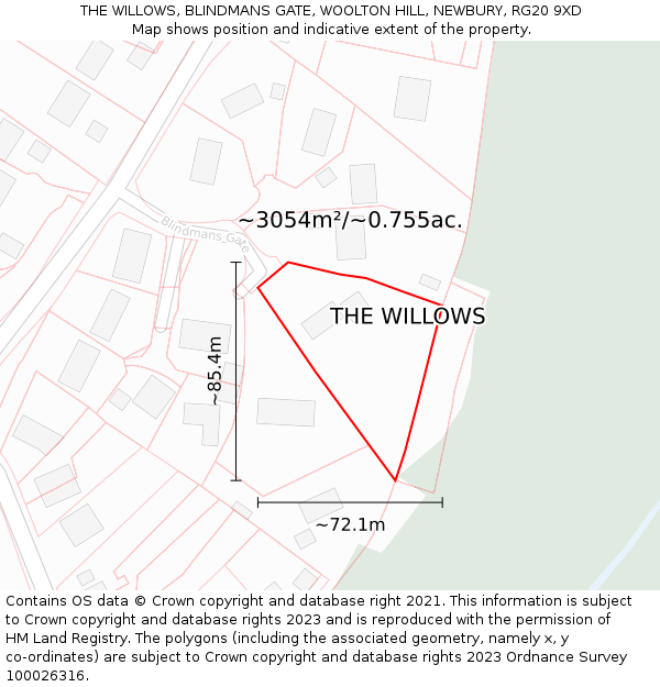 THE WILLOWS, BLINDMANS GATE, WOOLTON HILL, NEWBURY, RG20 9XD: Plot and title map