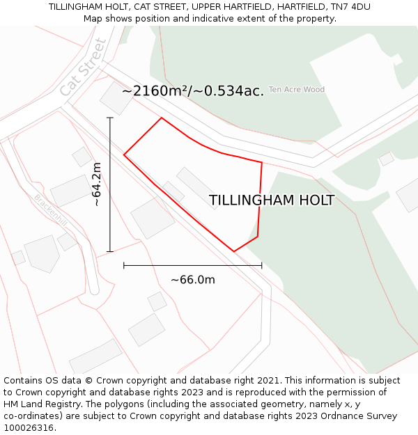 TILLINGHAM HOLT, CAT STREET, UPPER HARTFIELD, HARTFIELD, TN7 4DU: Plot and title map