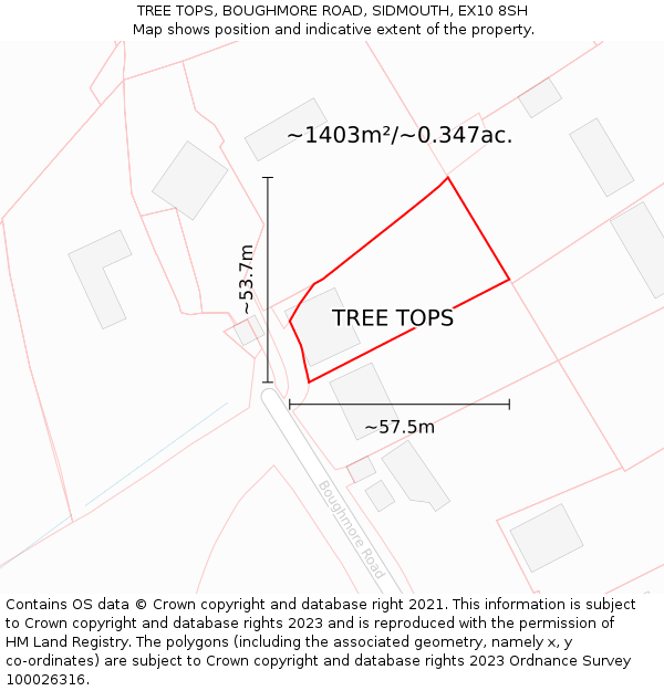 TREE TOPS, BOUGHMORE ROAD, SIDMOUTH, EX10 8SH: Plot and title map