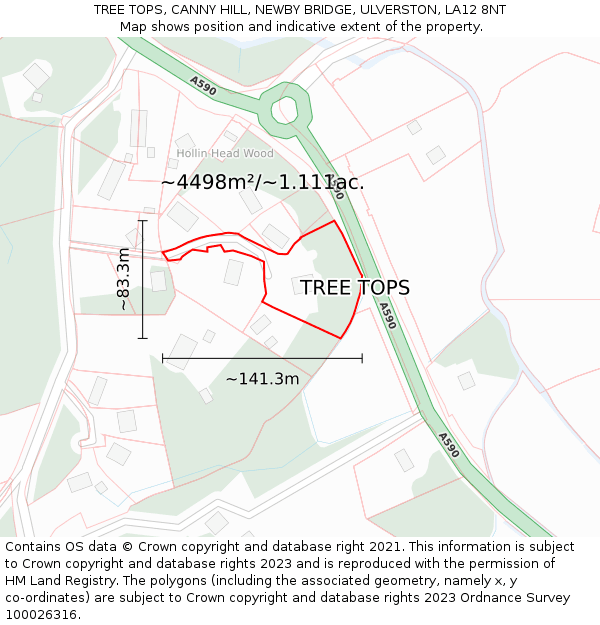 TREE TOPS, CANNY HILL, NEWBY BRIDGE, ULVERSTON, LA12 8NT: Plot and title map